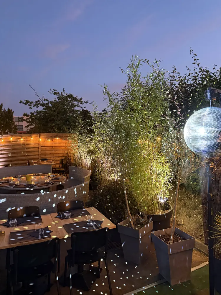 Jardin de nuit — Boule à facettes et éclairage d'ambiance